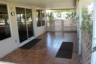 Back Patio