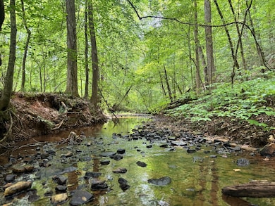 180.14 Johnson Mill Rd, Hamilton, GA 31811 - photo 3