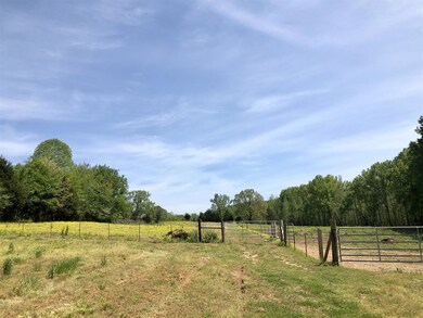 4364 Old Rock Island Rd, Rock Island, TN 38581 - photo 7