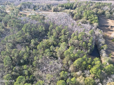 1555 Highway 177a, Bonifay, FL 32425 - photo 4