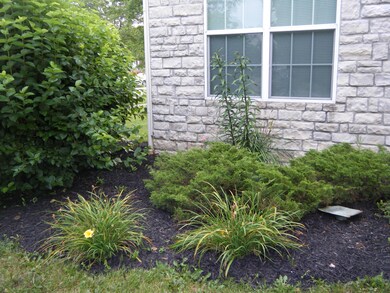 Beautiful landscaping