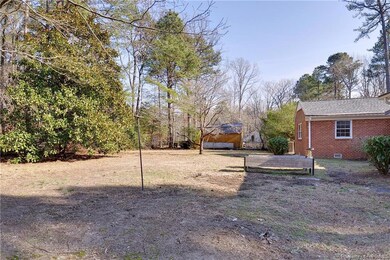 Large level back yard