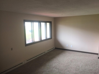 203 N 13th St unit N1, Kerkhoven, MN 56252 - photo 4