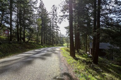 0 Afterglow Dr unit NWM1912159, Friday Harbor, WA 98250 - photo 5