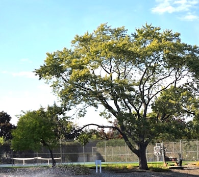 1117 S Old Wilke Rd unit 206, Arlington Heights, IL 60005 - photo 6