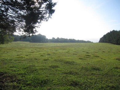 View - Front Pasture Towards Road
