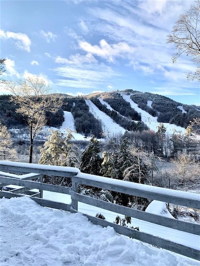 11 Birch Glen Dr, Bennington, NH 03442 - photo 2