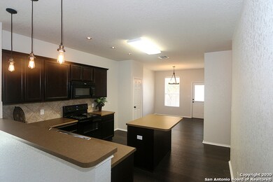 11818 Silver Coins, San Antonio, TX 78254 - photo 6