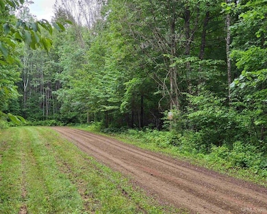 TBD Dream Lake Rd unit Lot 2, Long Lake T-Wi, WI 54542 - photo 3