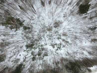 DJI_0004