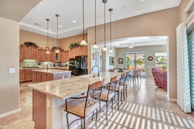 4206 E Carob Dr Gilbert AZ-large-006-25-
