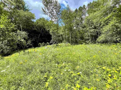 171 Duke St, Saint Johnsbury, VT 05819 - photo 5