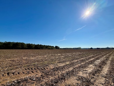 Lot 7 County Road 238, Headland, AL 36345 - photo 3