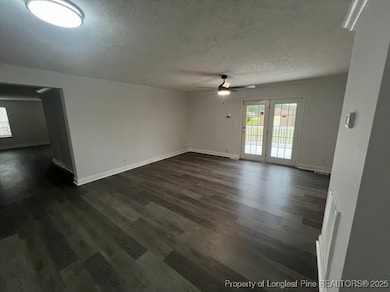 451 E McRainey Rd, Saint Pauls, NC 28384 - photo 4