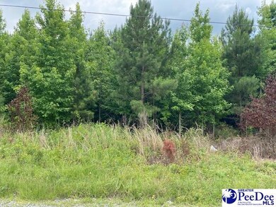 Lot 1-C Daniels Ln, Bennettsville, SC 29512 - photo 6