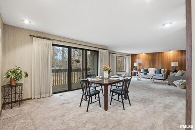 2200 36th St unit 3C, Rock Island, IL 61201 - photo 6