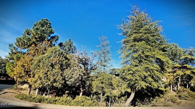 2812 E Coyote Mint Cir unit 56, Payson, AZ 85541 - photo 2