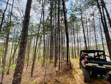 0 Georgia 136, Talking Rock, GA 30175 - photo 4