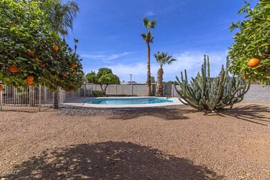 What A Backyard!