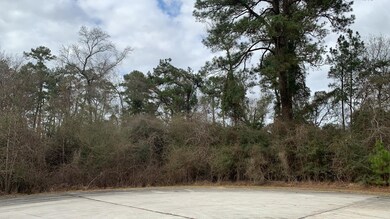 25227 Wilkes Park, Tomball, TX 77375 - photo 2