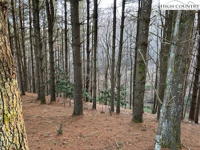 25 Davis Acres Dr, West Jefferson, NC 28694 - photo 7