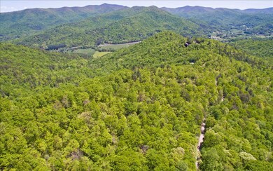 Additional View