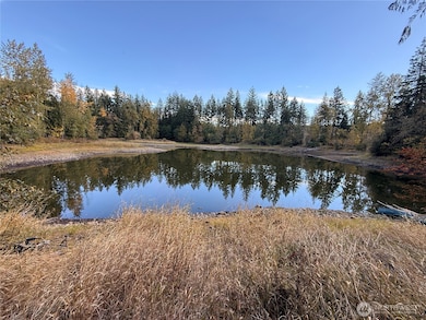 132 xx Algyer Rd SE, Rainier, WA 98576 - photo 7