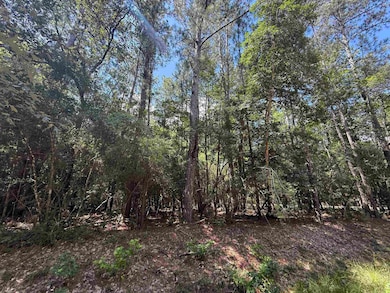 0000 Wildwood Dr unit Hemlock St., Village Mills, TX 77663 - photo 7