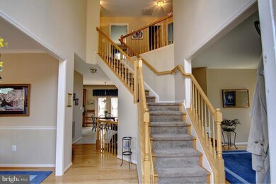 7727 White Willow Ct, Springfield, VA 22153 - photo 2