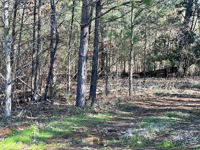 2004 County Road 915, Nacogdoches, TX 75964 - photo 6