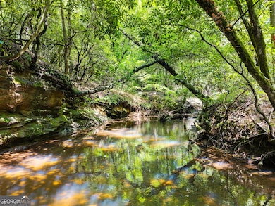 4A 0 Creekside Dr, Cleveland, GA 30528 - photo 2