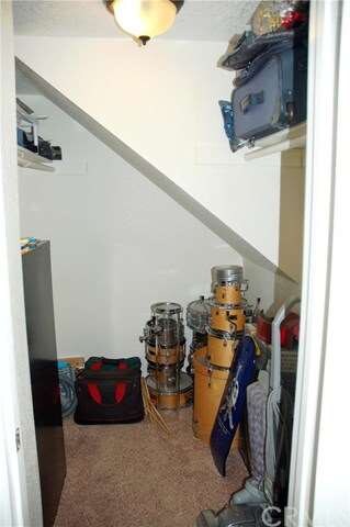 Large storage closet under the stairway