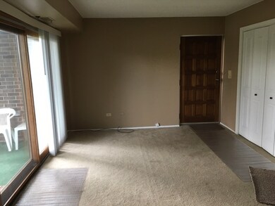 271 W 1st St, Elmhurst, IL 60126 - photo 4