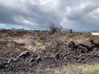 Looking into the lot