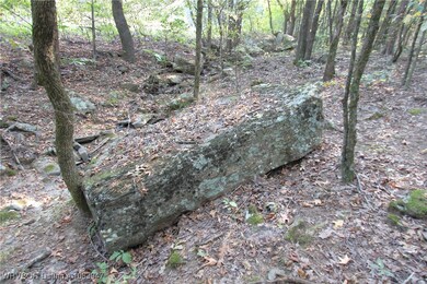 tbd Old 81 Loop, Rudy, AR 72952 - photo 4