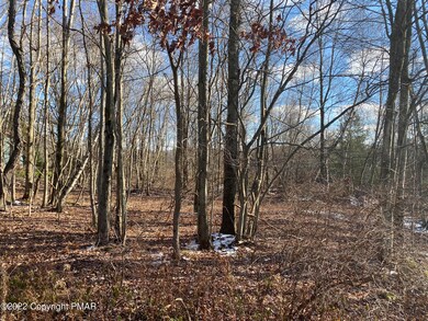 Lot 34 Lidio Rd, Blakeslee, PA 18610 - photo 4