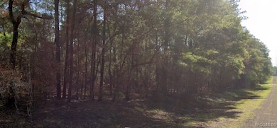 857 E Toledo Dr, Citrus Springs, FL 34434 - photo 4