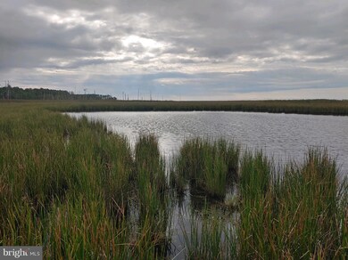 0 Shorters Wharf unit MDDO2006234, Cambridge, MD 21613 - photo 6