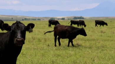 48999 County Road 48, Model, CO 81059 - photo 6