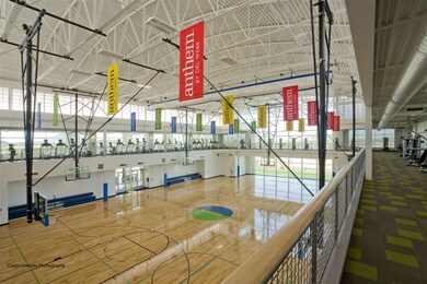 Basketball Court