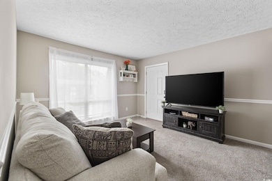 Living room with carpet and a textured ceiling