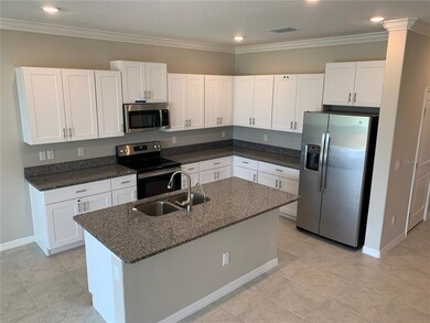 32009 Blue Passing Loop, Wesley Chapel, FL 33545 - photo 5