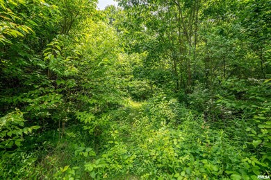 5115 W Harp Hollow Rd, Peoria, IL 61607 - photo 6