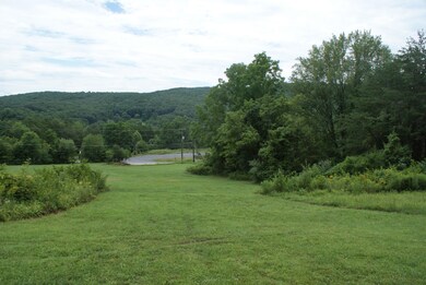 000 Douthat Rd, Clifton Forge, VA 24422 - photo 3