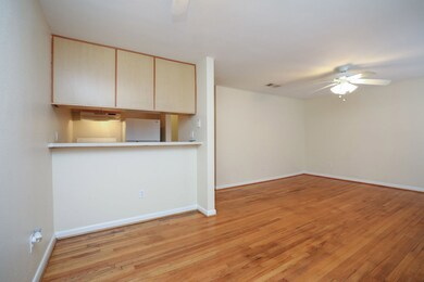 1620 Hawthorne St unit 6, Houston, TX 77006 - photo 5
