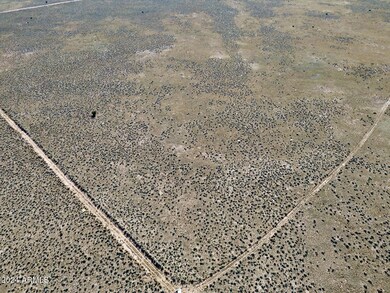 XXXX Spurlock Side Road W --, Holbrook, AZ 86025 - photo 3