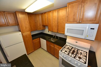 1111 University Blvd W unit 317, Silver Spring, MD 20902 - photo 5