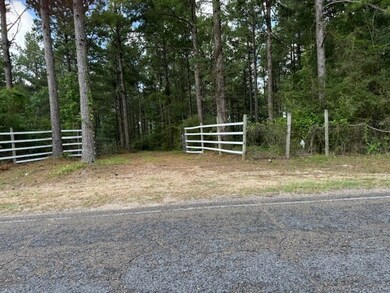 273 Edgar Holmes Rd, Tylertown, MS 39667 - photo 2