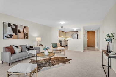 287 Place Ln, Woburn, MA 01801 - photo 5