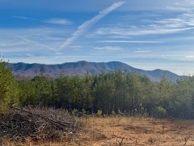 000 Sun Hill Way, Parrottsville, TN 37843 - photo 3